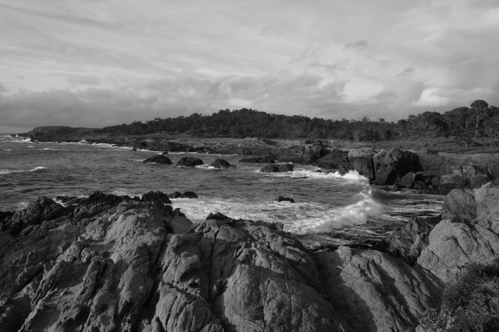 Pt Lobos 12/26/04